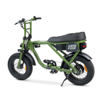 ACE Mini Electric Bike