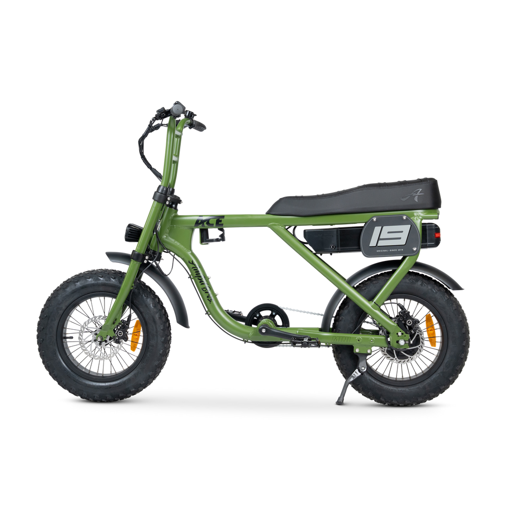 ACE Mini Electric Bike