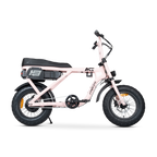 ACE Mini Electric Bike