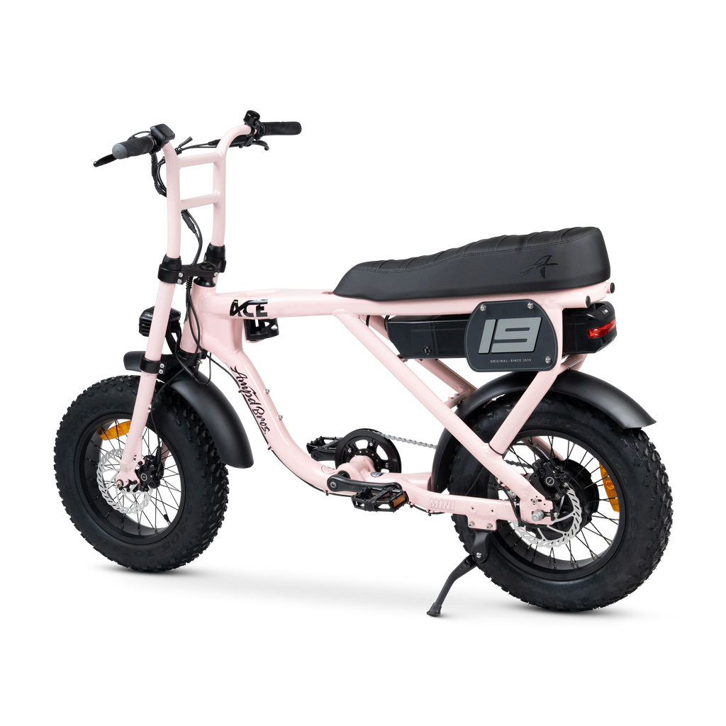 ACE Mini Electric Bike