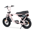 ACE Mini Electric Bike