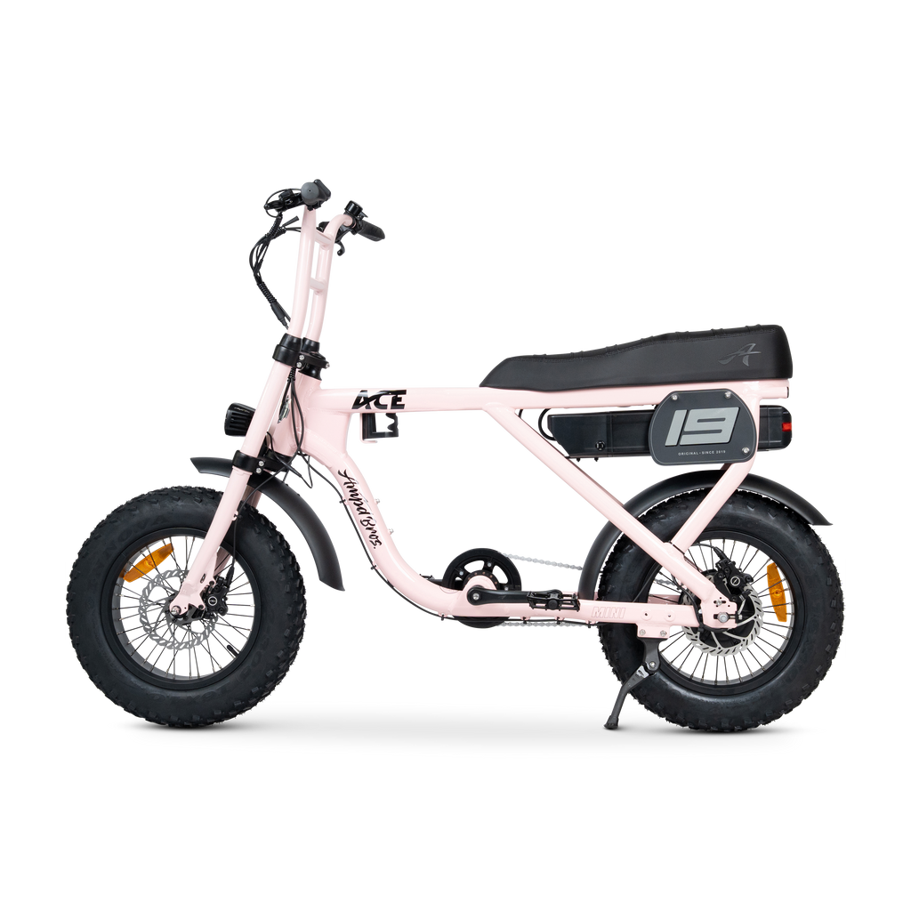 ACE Mini Electric Bike