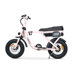 ACE Mini Electric Bike