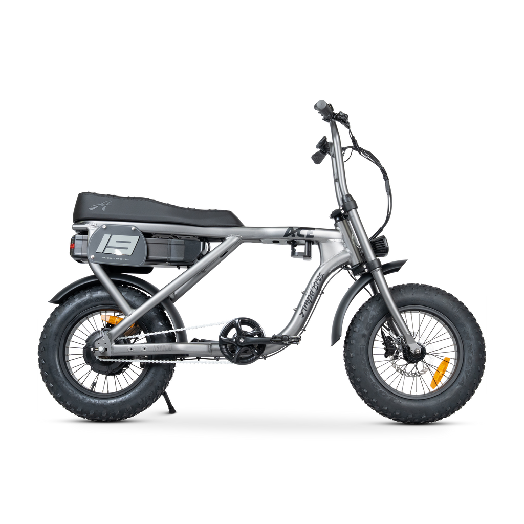ACE Mini Electric Bike