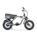 ACE Mini Electric Bike