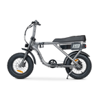 ACE Mini Electric Bike