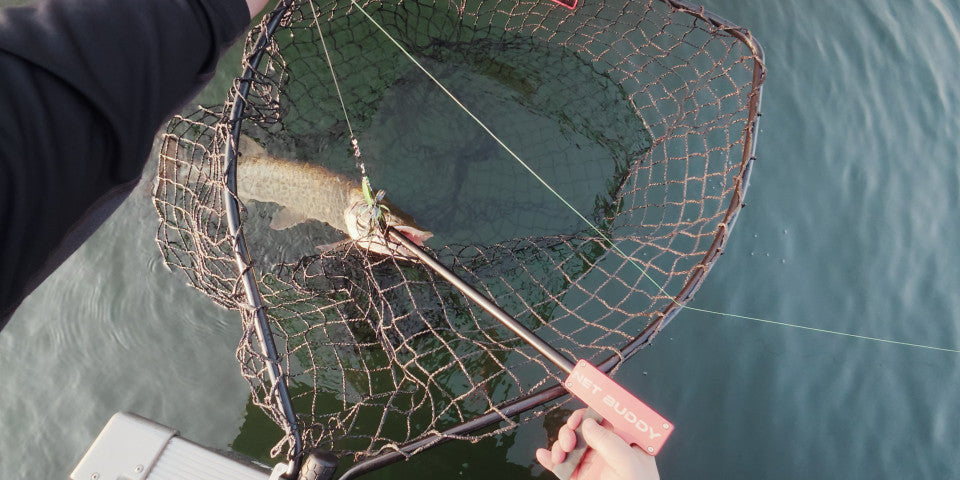 Net Buddy DWF Hookout