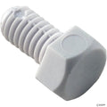 Adjustment Screw, Pentair Letro Legend Cleaners, White EB20