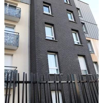 Basalte Black Brick 65mm x 215mm x 102.5mm - Sample