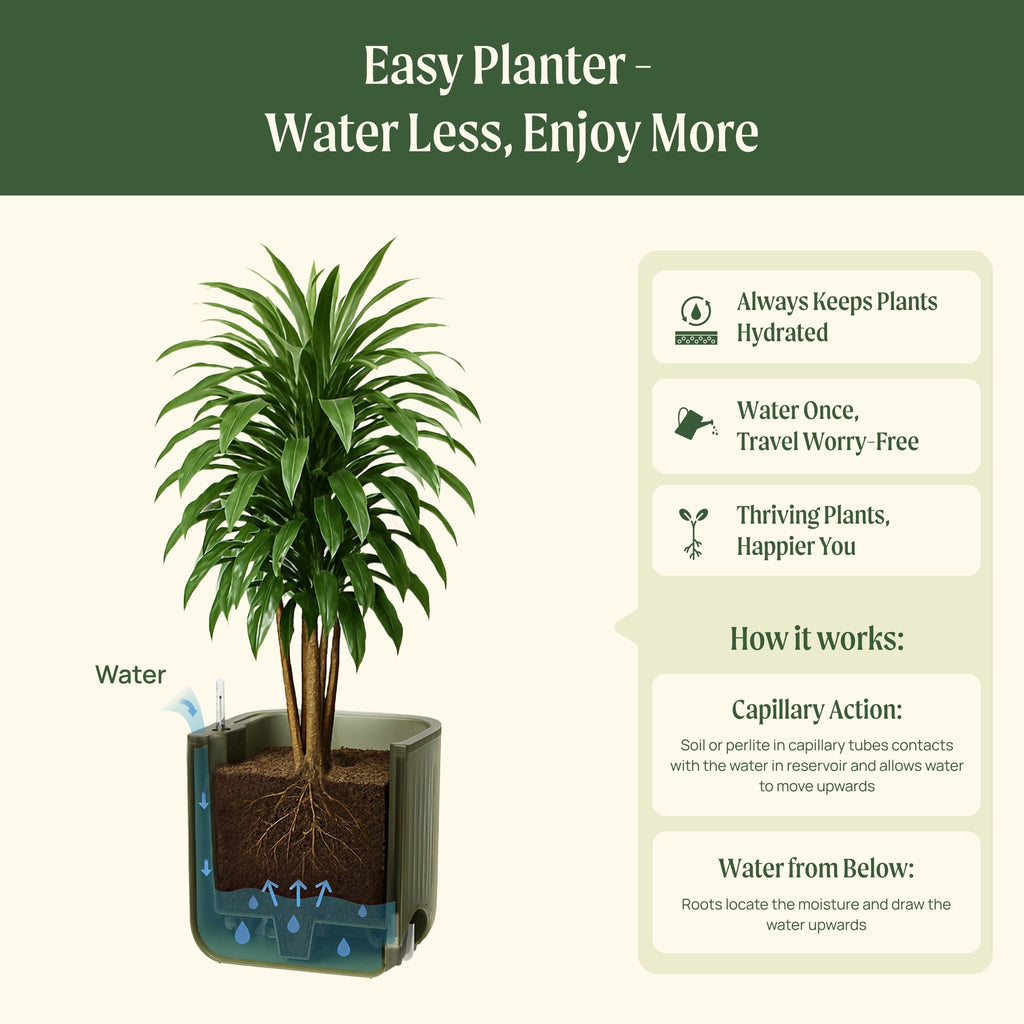 EZ Self-Watering Tomato Planter with Trellis Gen 1