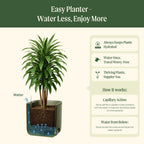 EZ Self-Watering Tomato Planter with Trellis Gen 1