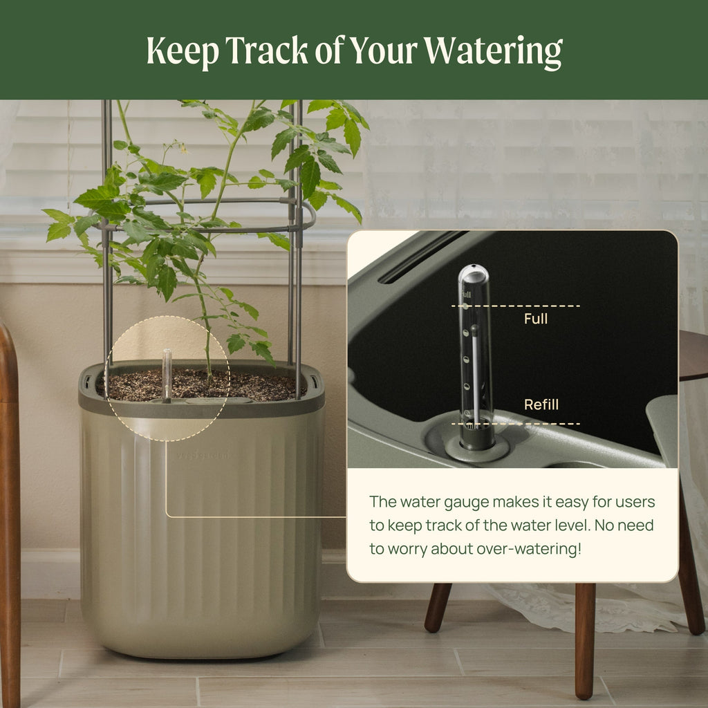 EZ Self-Watering Tomato Planter with Trellis Gen 1