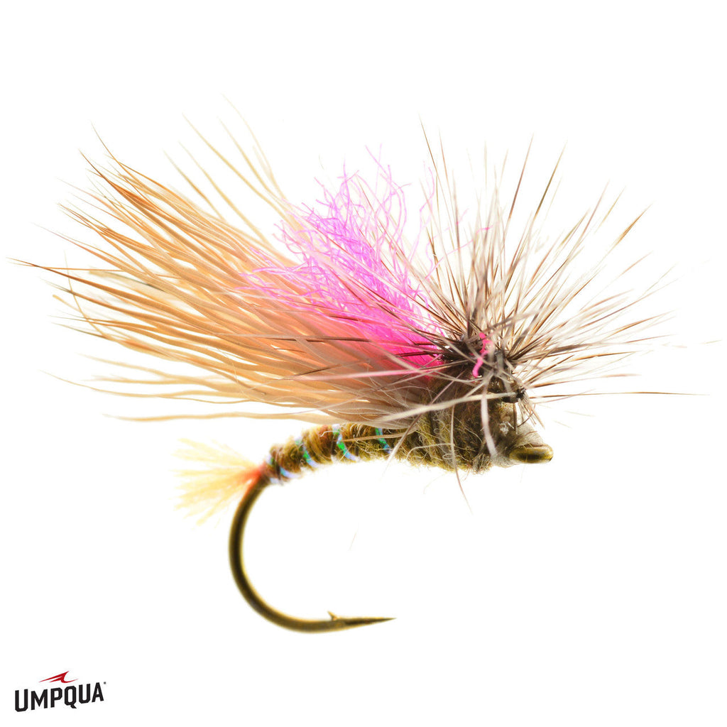 Front End Loader Caddis