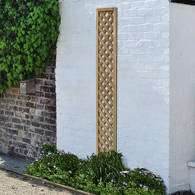 Forest Rosemore Lattice 180cm x 30cm