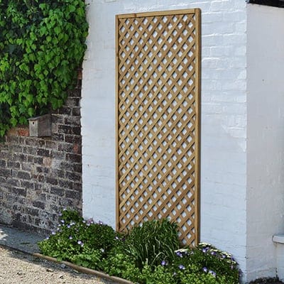 Forest Rosemore Lattice 180cm x 90cm