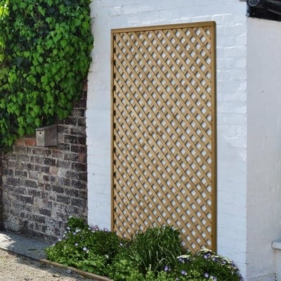 Forest Rosemore Lattice 180cm x 120cm
