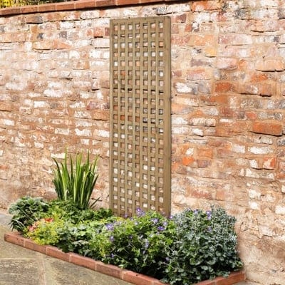 Forest Premium Framed Trellis 180cm x 60cm