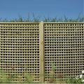 Forest Premium Framed Trellis 180cm x 180cm