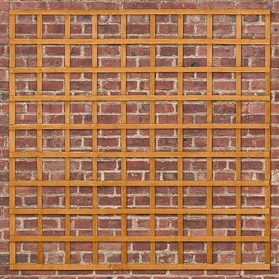 Forest Heavy Duty Trellis 183cm x 183cm
