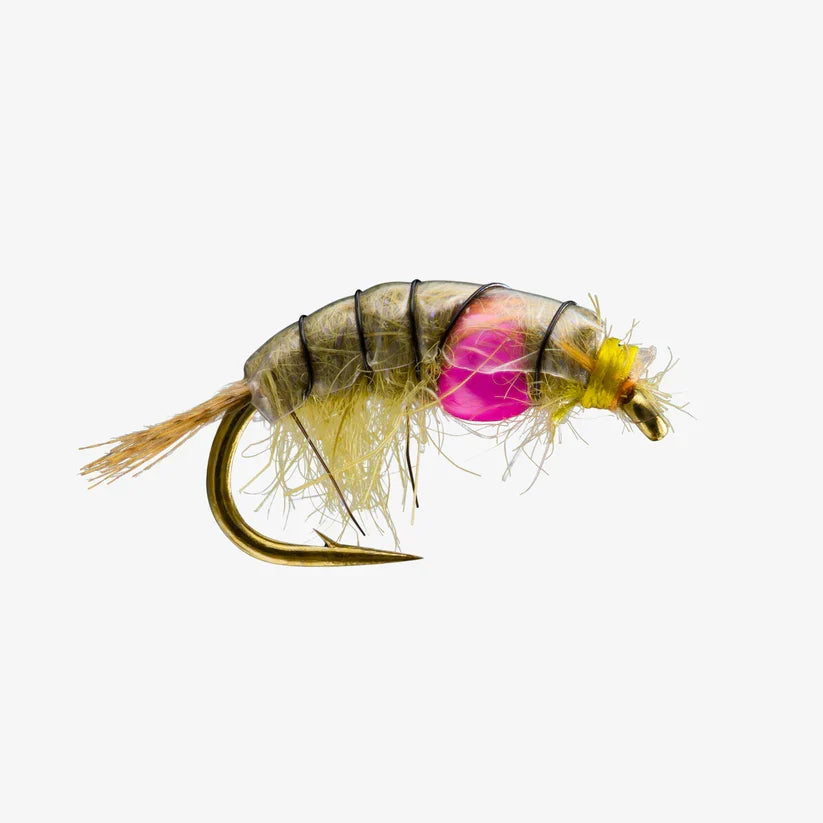 Midweight Scud #14