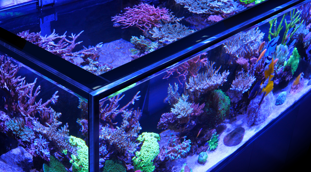 Reefer-S 1000 G2+ System - 210 Gallon Premium Reef Ready Aquarium - Red Sea [New]