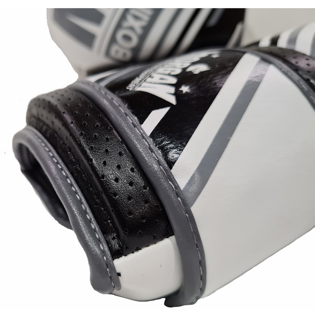Morgan Aventus Leather Boxing Gloves