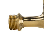 Water Butts Kit 1/2" With Polish Brass Tap & Snap On Connector and Drill Bit