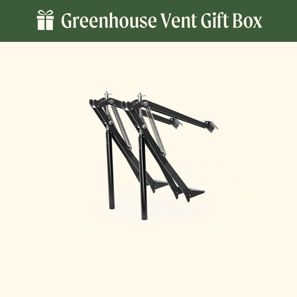 Vego Junior Victorian Greenhouse - 6.5ft Wide