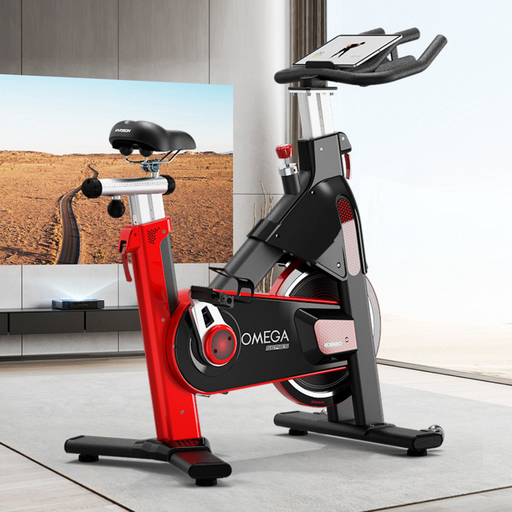 Harison Omega HR-B3820Eco Commercial Exercise Bike