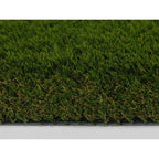 50mm Holmsley - Sample