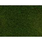 50mm Holmsley - Sample