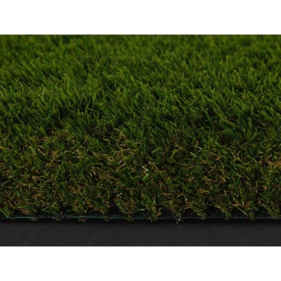 50mm Holmsley - Sample