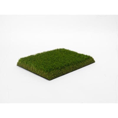 50mm Holmsley - Sample
