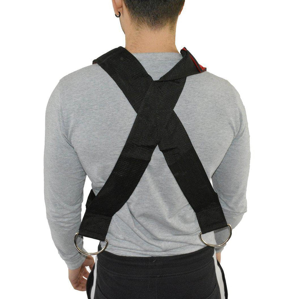 HyperFX Laser Sled with Harness
