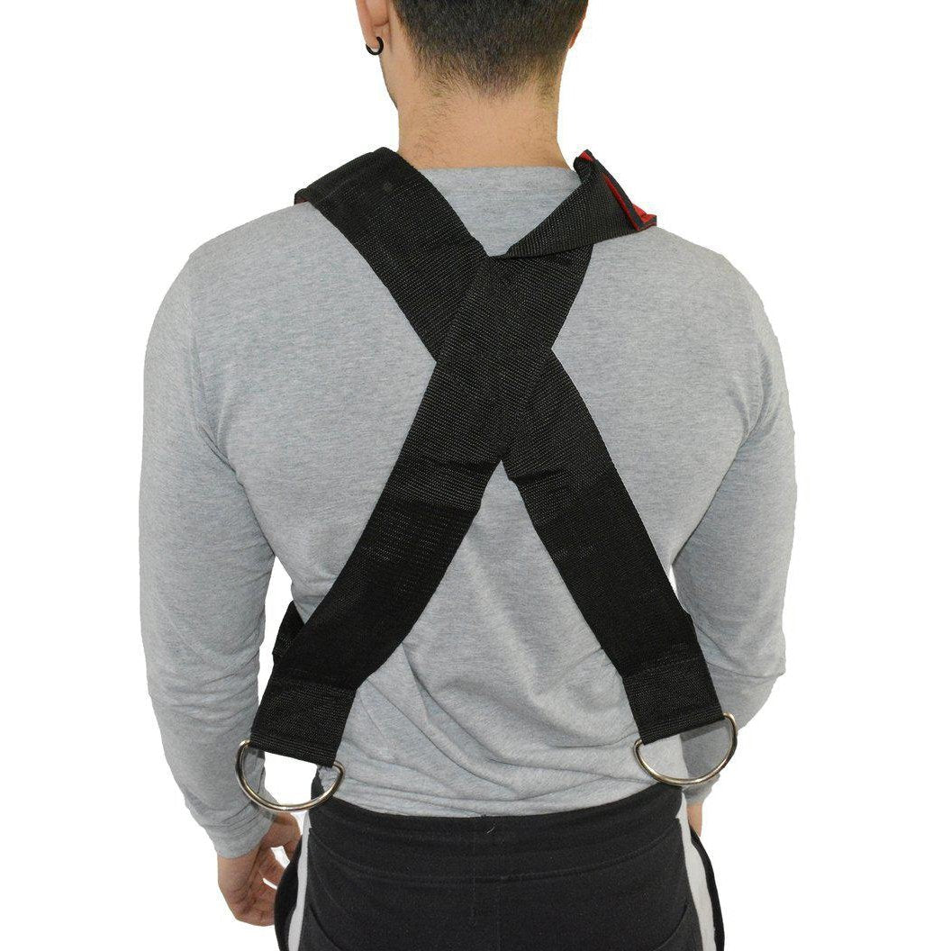 HyperFX Laser Sled with Harness