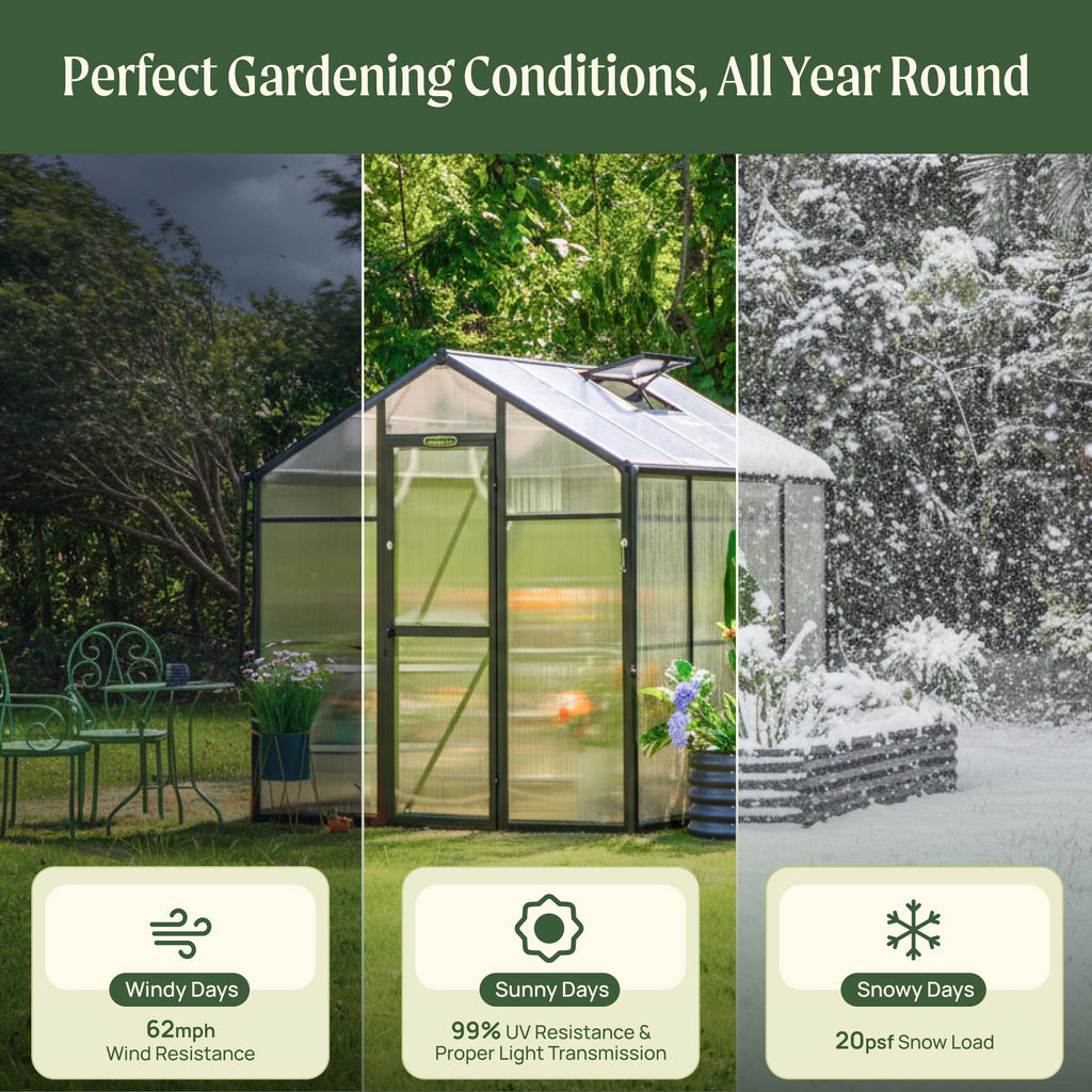 Vego Junior Victorian Greenhouse - 6.5ft Wide