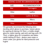 Morgan V2 Platinum Leather Sparring Gloves