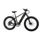 XPeak2 High-Step eBike