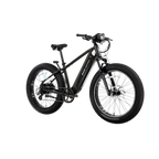XPeak2 High-Step eBike