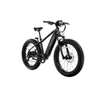 XPeak2 High-Step Long-Range eBike