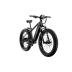 XPeak2 High-Step Long-Range eBike