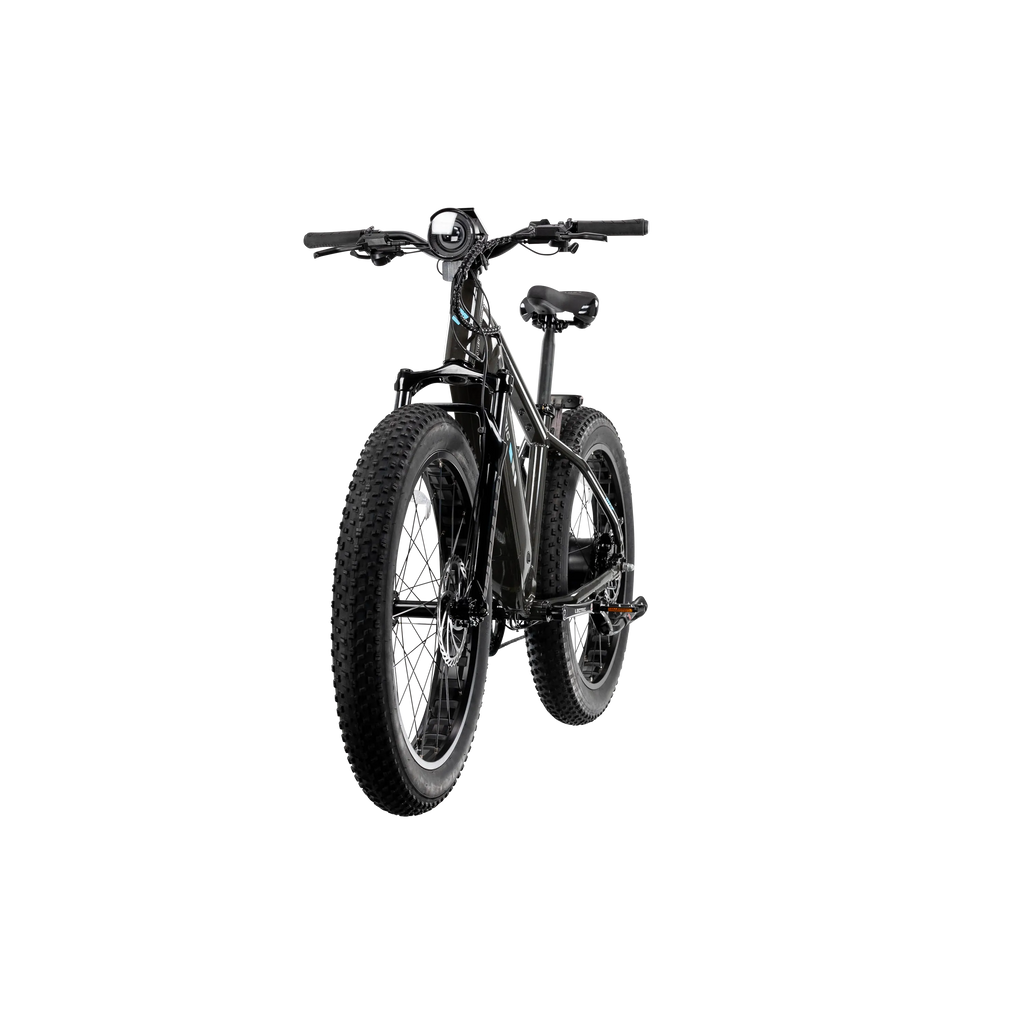 XPeak2 High-Step eBike