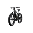 XPeak2 High-Step Long-Range eBike