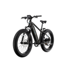XPeak2 High-Step eBike