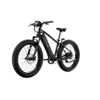 XPeak2 High-Step eBike