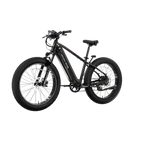 XPeak2 High-Step eBike