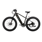 XPeak2 High-Step Long-Range eBike