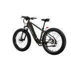 XPeak2 High-Step eBike