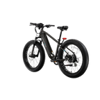XPeak2 High-Step Long-Range eBike