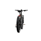 XPeak2 High-Step eBike